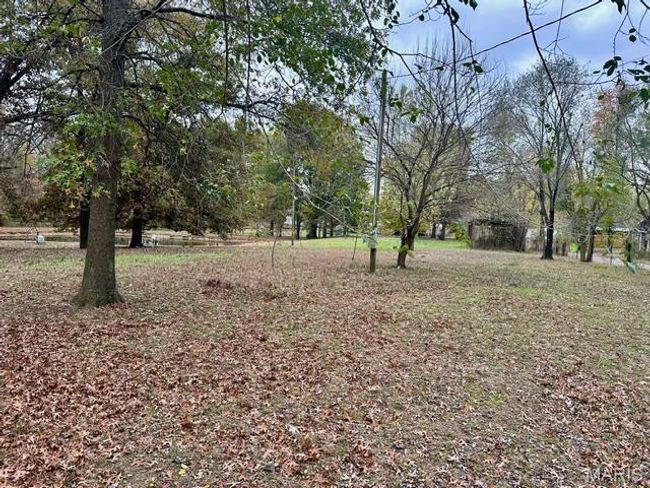 View of yard | Image 7