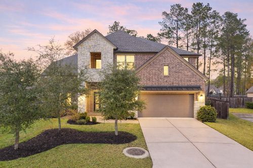 519 Caverna St, Montgomery, TX, 77316-3043 | Card Image