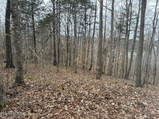 649 Garrett Town Ln, Home with 0 bedrooms, 0 bathrooms and null parking in Monroe TN | Image 19