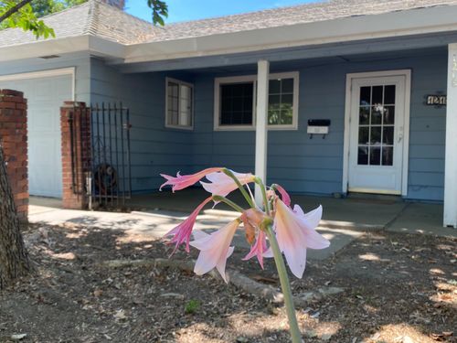 1218 Morse Ct, West Sacramento, CA, 95605-2235 | Card Image
