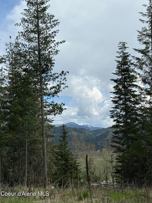 NKA Saint Maries Ave, Saint Maries, ID, 83861 | Card Image