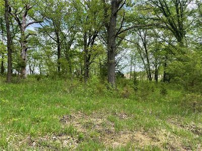 Lot 3038 Lake Viking Terrace, Home with 0 bedrooms, 0 bathrooms and null parking in Gallatin MO | Image 1