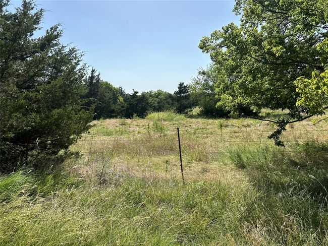 View of local wilderness | Image 7