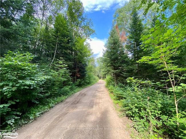 0 Concession 10 And 11 Road, Home with 0 bedrooms, 0 bathrooms and null parking in Parry Sound, Unorganized, Centre Part ON | Image 7