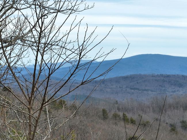 235 Andes Rdg, Home with 0 bedrooms, 0 bathrooms and null parking in Ellijay GA | Image 5