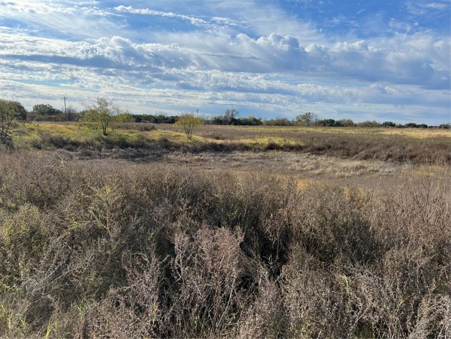 Pond and field | Image 11