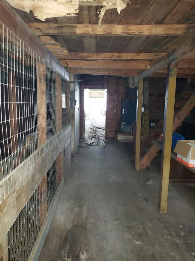 View of horse barn | Image 6