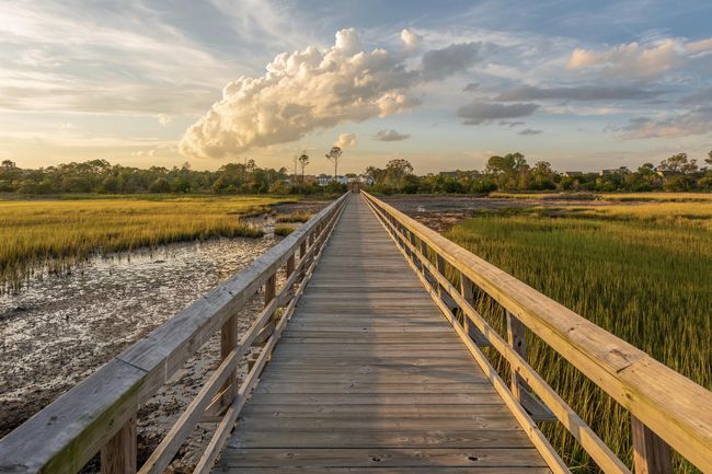 Neighborhood Dock | Image 50