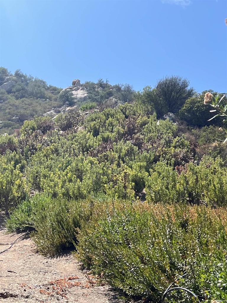Land in Valley Center 3