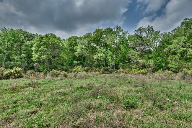 View of local wilderness | Image 33