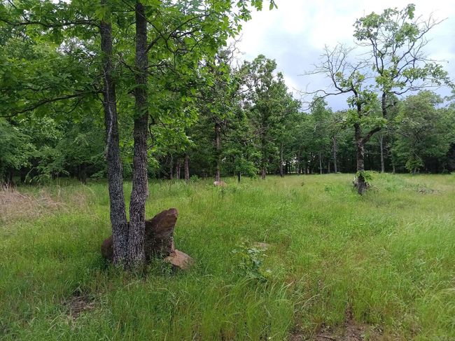 409 Russell Mountain Rd, Home with 0 bedrooms, 0 bathrooms and null parking in Bald Knob AR | Image 11