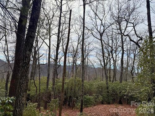 TBD Laurel Thicket, Brevard, NC, 28712 | Card Image