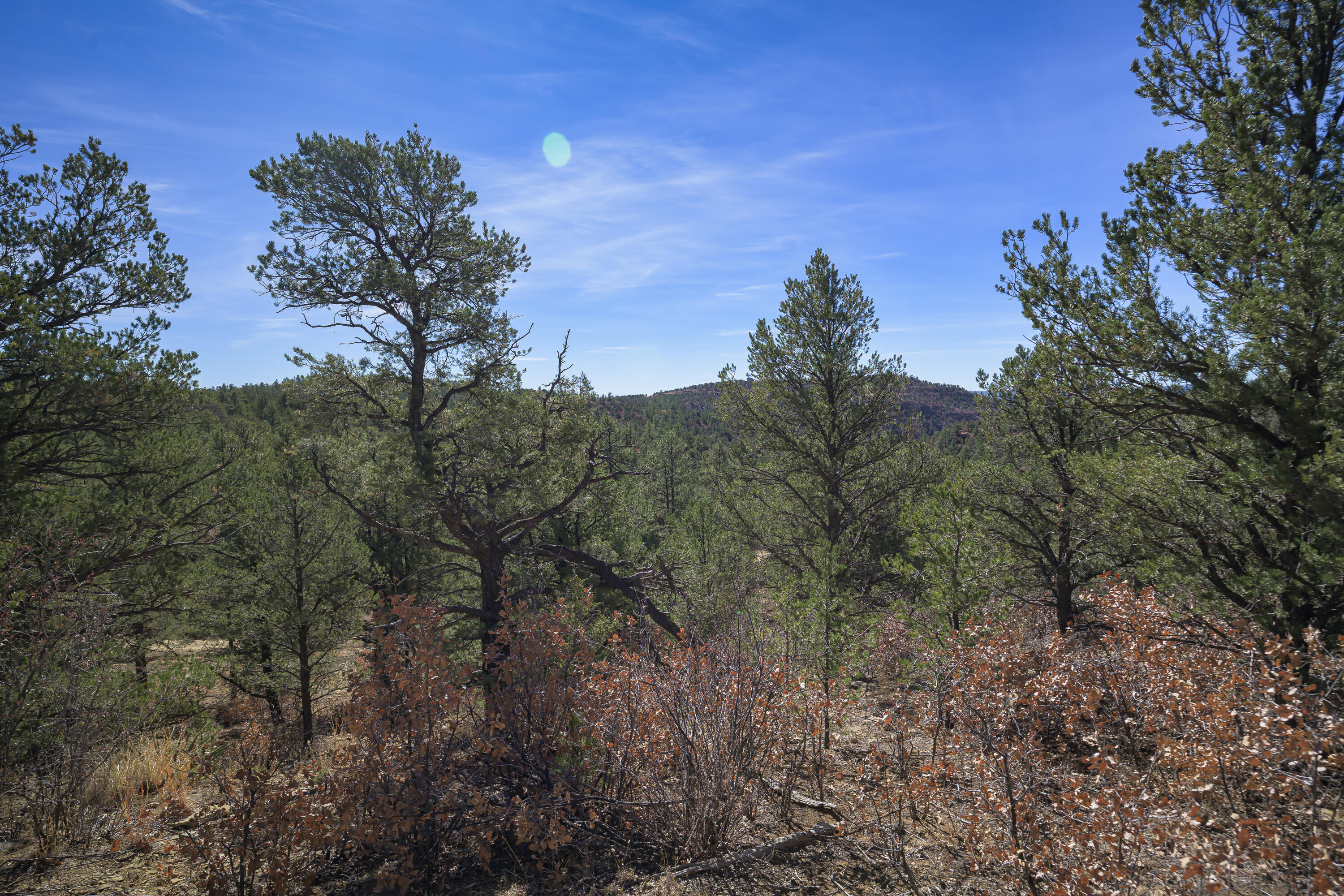 Land in Weston 5