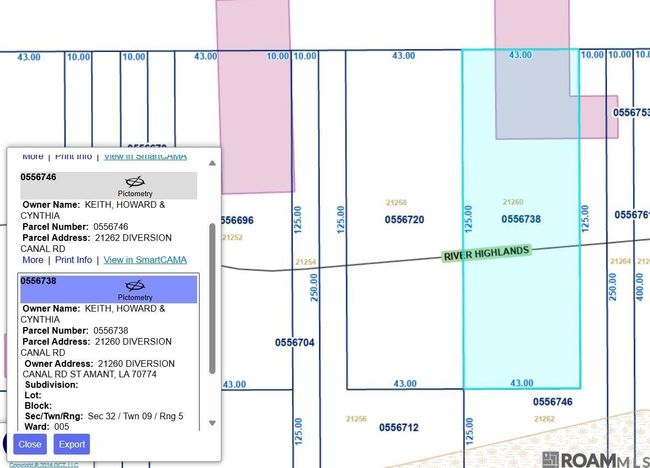 21260 Diversion Canal Rd, House other with 2 bedrooms, 2 bathrooms and null parking in Maurepas LA | Image 35