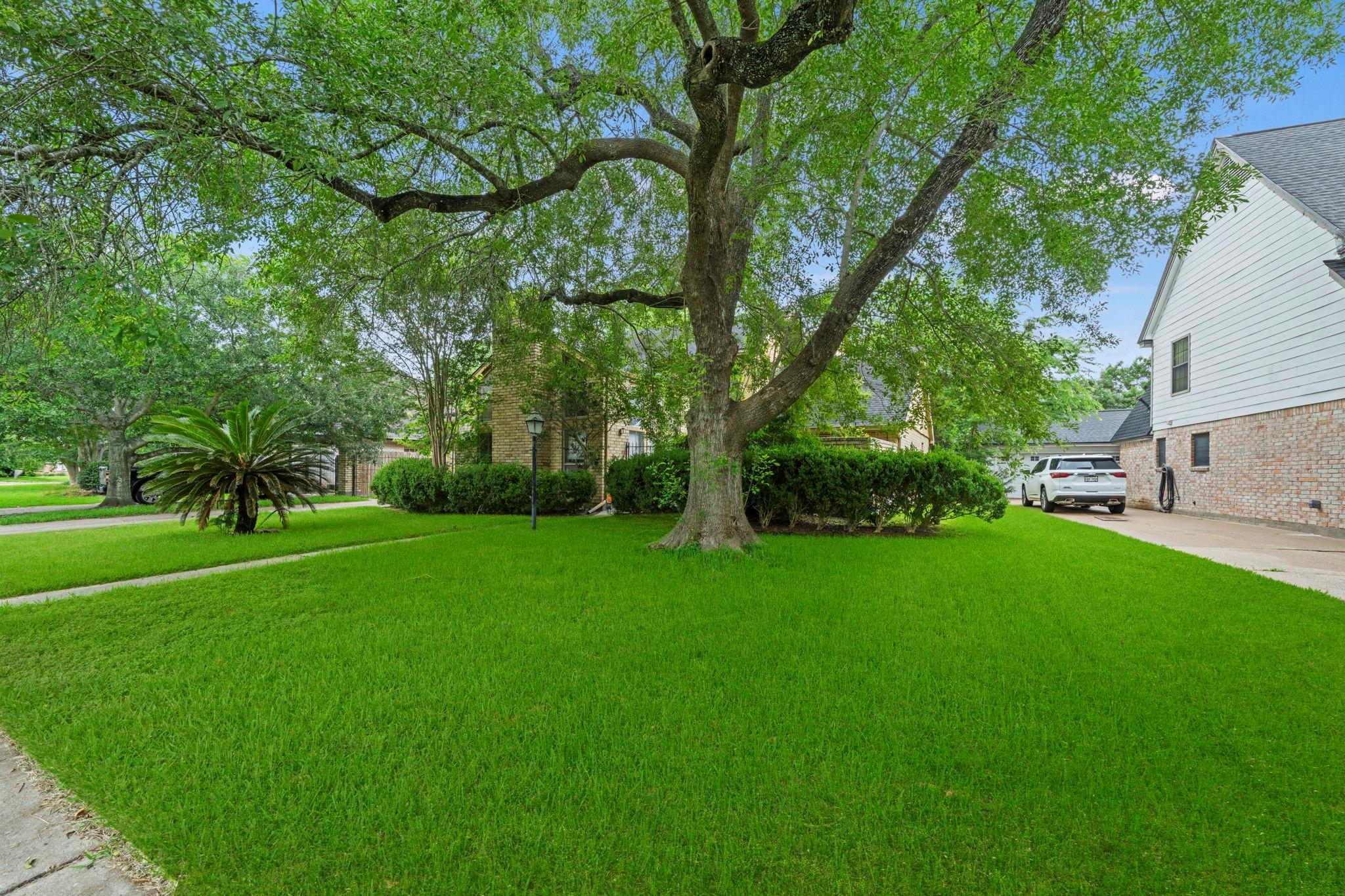 Residential in Houston 2