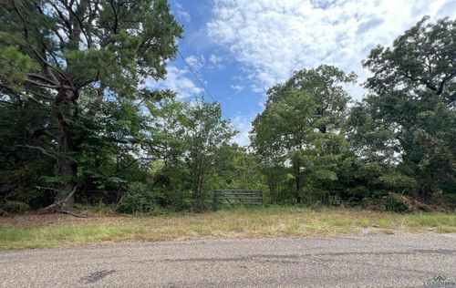 972 Simmons Rd, Harleton, TX, 75651 | Card Image