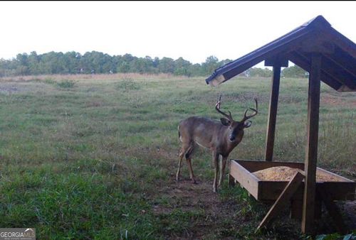 0 Macon Hwy, Talbotton, GA, 31827 | Card Image