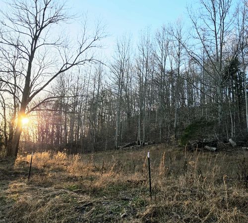 2400 Chicken Creek Rd, Pulaski, TN, 38478 | Card Image