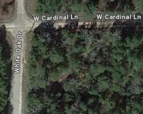 Corner Lot Cardinal & White Oak, Diamond City, AR, 72644 | Card Image