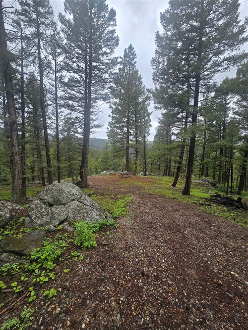 60 Snowberry Ln, Drummond, MT, 59832-9002 | Card Image