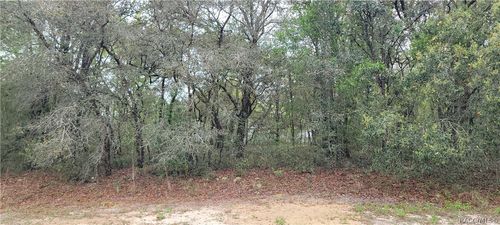 3028 W Randolph Lane, Citrus Springs, FL, 34433 | Card Image