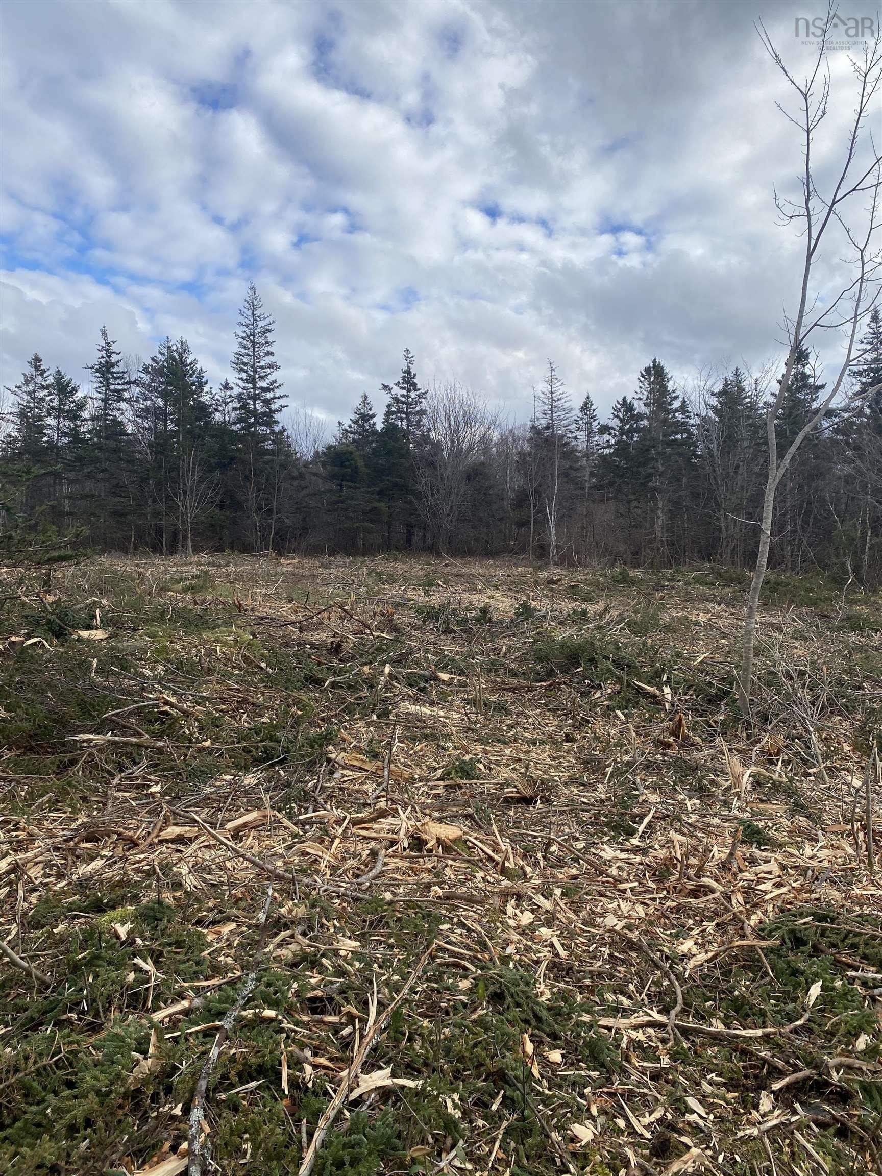 Land in Phinneys Cove 4