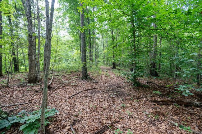 0 Allens Creek Rd, Home with 0 bedrooms, 0 bathrooms and null parking in GLADSTONE VA | Image 30