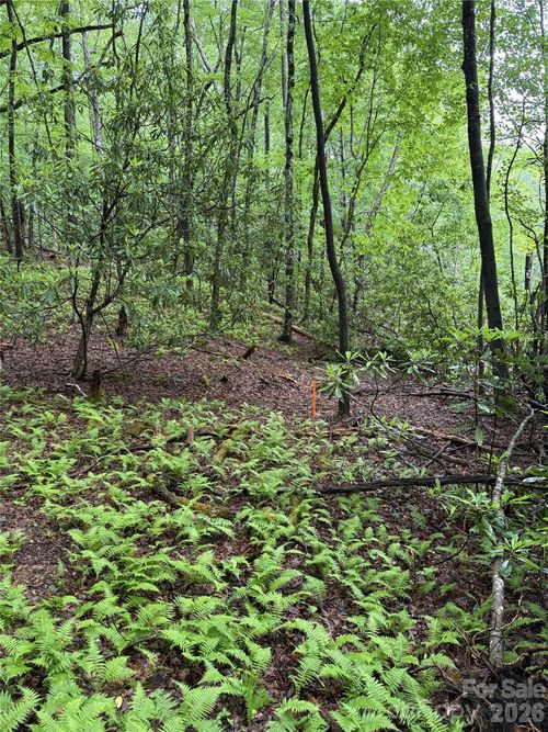 Lot 68 Cherrywood Ln, Pisgah Forest, NC, 28768-9514 | Card Image