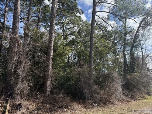 TBD Se 190th Ave, Silver Springs, FL, 34488 | Card Image