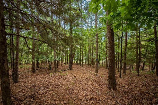 31 Farris Lndg, House other with 4 bedrooms, 3 bathrooms and null parking in Quitman AR | Image 40