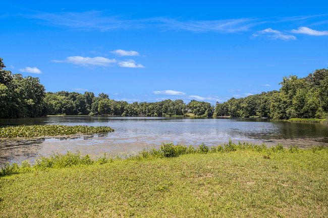 037__90a6541_410 | Image 7