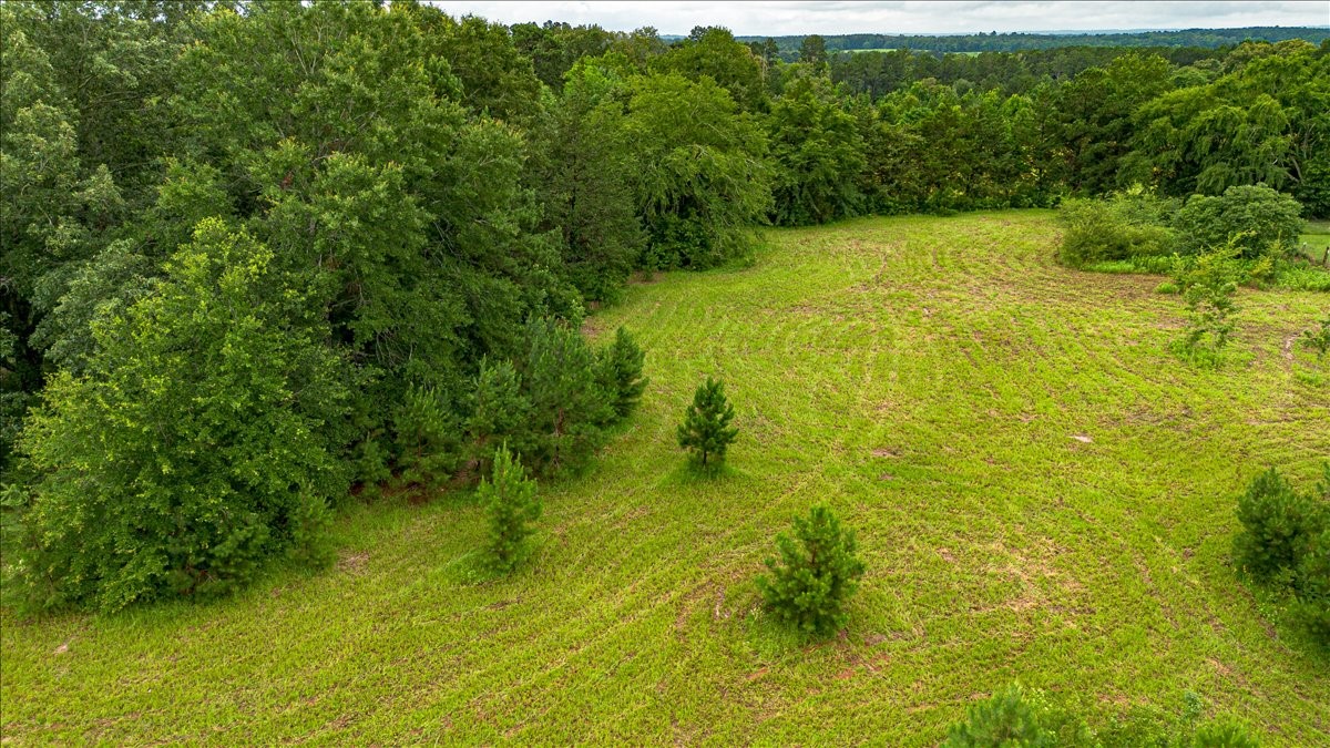 Land in Troup 3