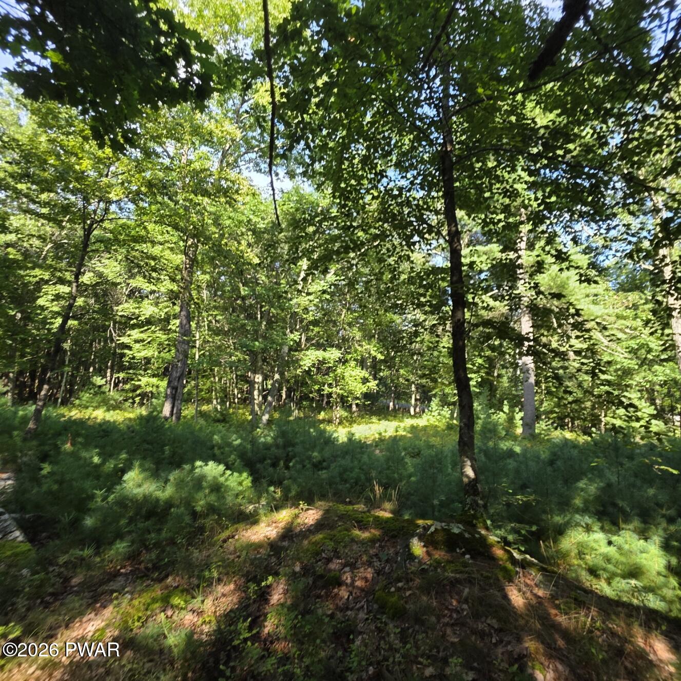 Land in Dingmans Ferry 4
