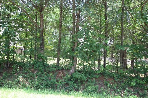 19 Rachel, Dover, AR, 72837 | Card Image