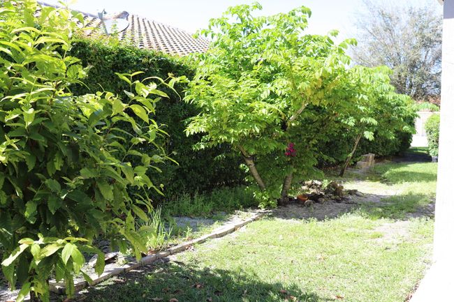 11174 Winding Pearl Way, House other with 5 bedrooms, 3 bathrooms and null parking in Wellington FL | Image 30