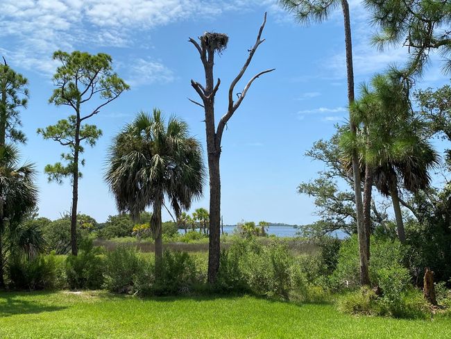 Lot #21 Watson Cir, Home with 0 bedrooms, 0 bathrooms and null parking in CEDAR KEY FL | Image 5