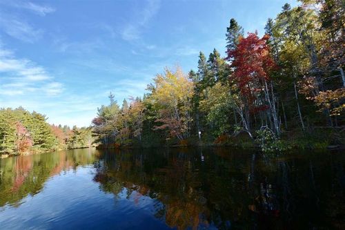 Lot 9 Highway 7, Aspen, NS, B0H1E0 | Card Image