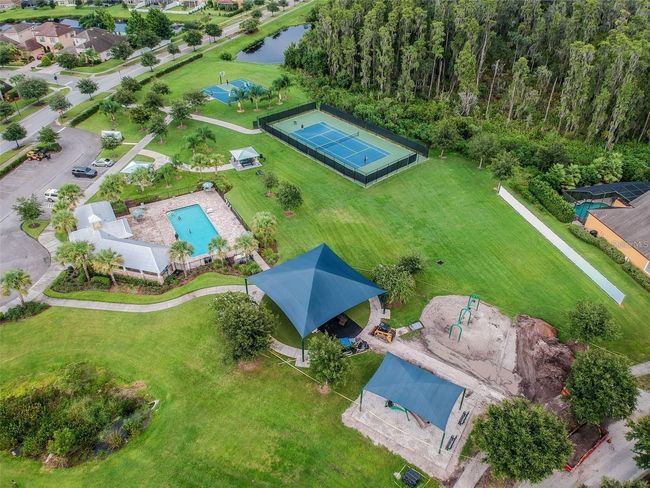 19502 Sea Myrtle Way, House other with 4 bedrooms, 4 bathrooms and null parking in TAMPA FL | Image 52