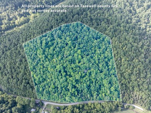 TBD Dry Fork Rd, Cedar Bluff, VA, 24609 | Card Image