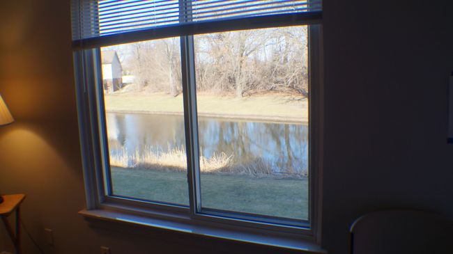 View from living room picture window | Image 37