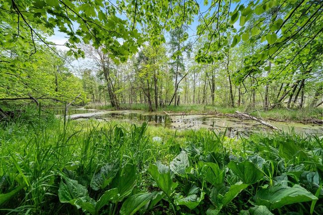Lt1 County Highway E, Home with 0 bedrooms, 0 bathrooms and null parking in Hartford WI | Image 27