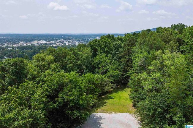 607-AC - 0 Rebecca Trl, Home with 0 bedrooms, 0 bathrooms and null parking in Anniston AL | Image 6
