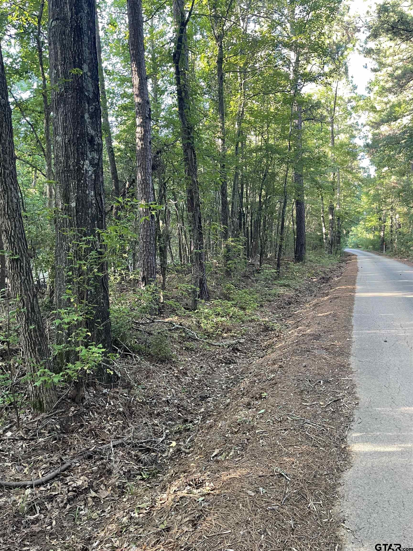 Land in Troup