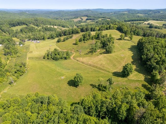 688 Gibson Knob Rd, Home with 0 bedrooms, 0 bathrooms and null parking in Laurel Fork VA | Image 17