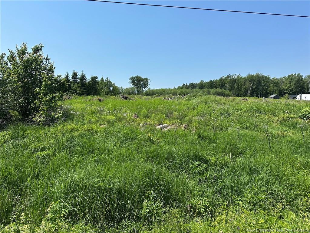 Land in Hamtown Corner 3