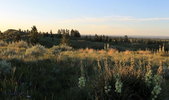 SC-28 - TBD Lone Rock Canyon Lane, Home with 0 bedrooms, 0 bathrooms and null parking in Hysham MT | Image 27