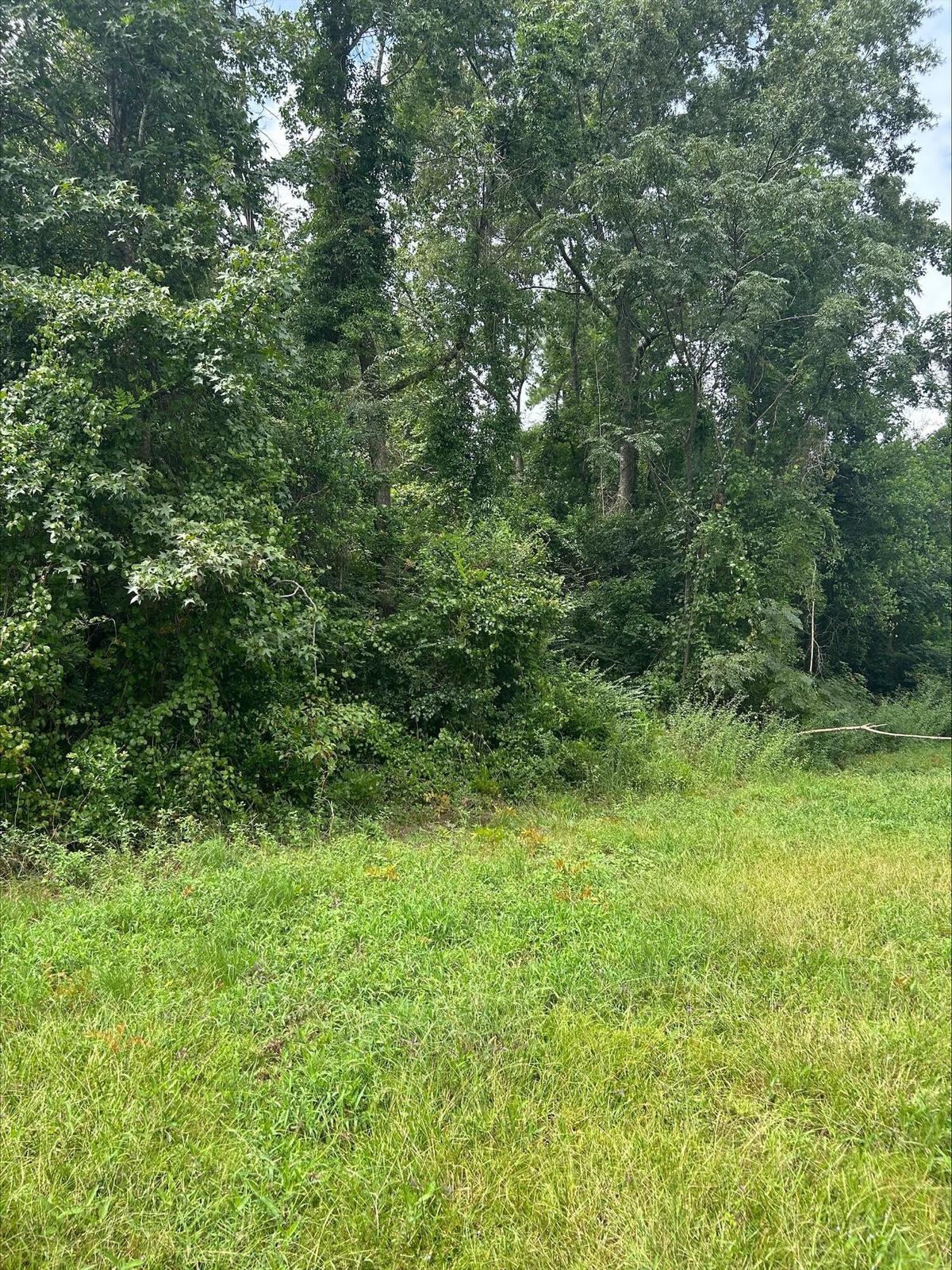 Land in Summerton 2