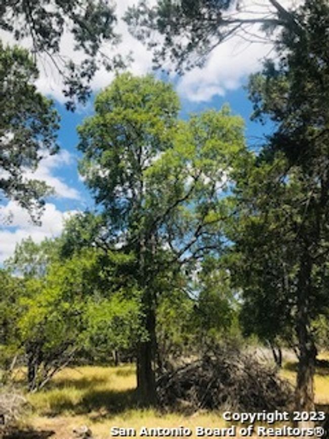 26 Mustang Crossing Dr, Home with 0 bedrooms, 0 bathrooms and null parking in Pipe Creek TX | Image 7