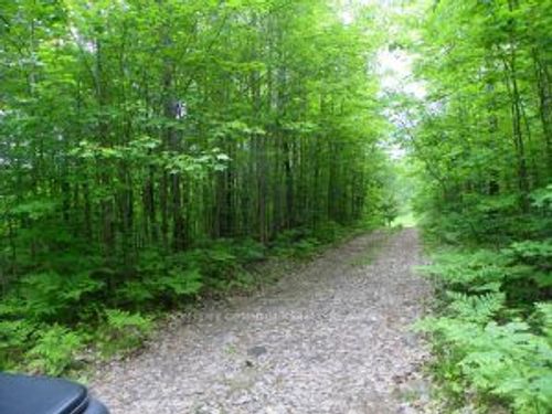 50 Acres in Muskoka North Of Bala Pcl 31045 N/A, Muskoka Lakes, ON, P0C1A0 | Card Image