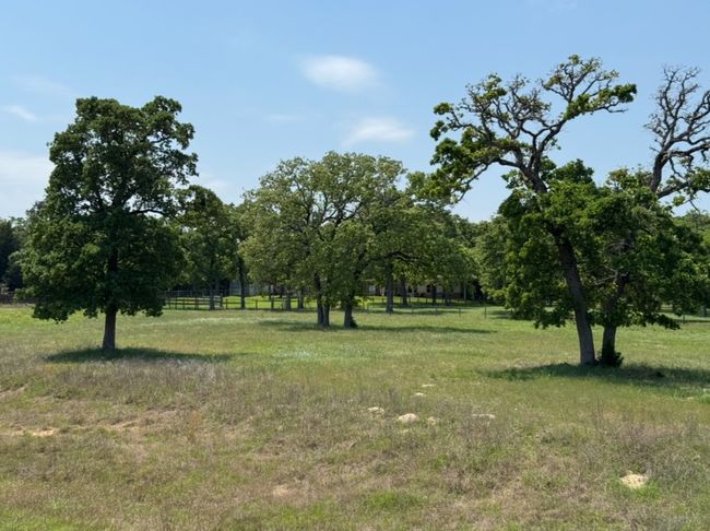View of yard with fence | Image 11